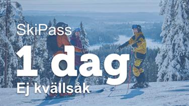 Bild för: Skipass 1 Dag (ej kväll)